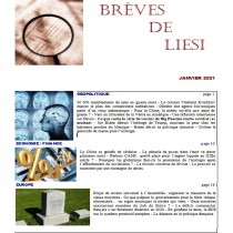 BREVES DE LIESI - JANVIER 2021