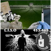 Série LISO - Numéros 453 - 462