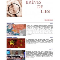 BREVES DE LIESI - FEVRIER 2023