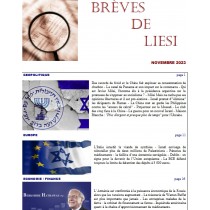 BREVES DE LIESI - NOVEMBRE...