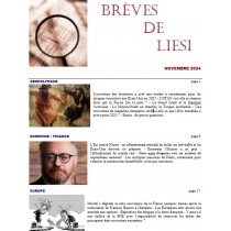 BREVES DE LIESI - NOVEMBRE...